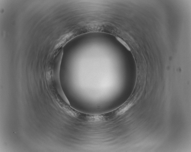 X0000071910432200607071137