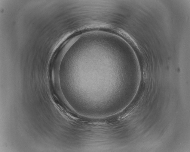 X0000071910436200607071136