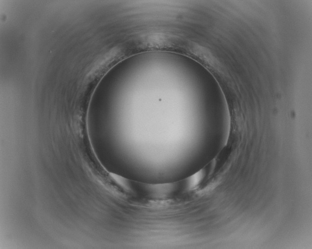 X0000071910450200607071136