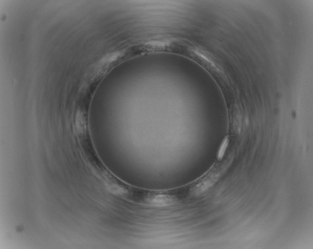 X0000071910467200607071136