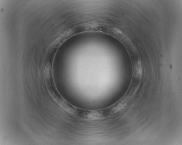 X0000071910468200607071136