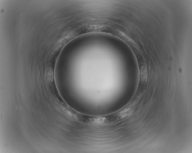 X0000071910474200607071136