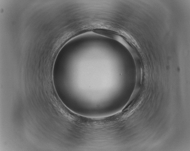 X0000071910481200607071136