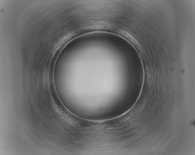 X0000071910482200607071136