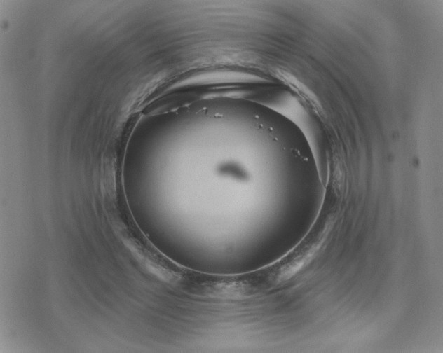 X0000071910493200607071136