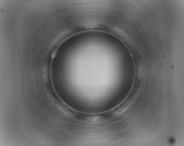 X0000071910497200607071136