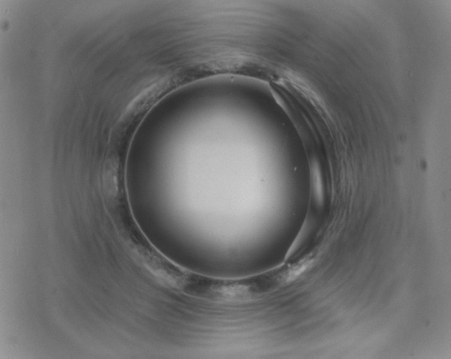 X0000071910501200607071135
