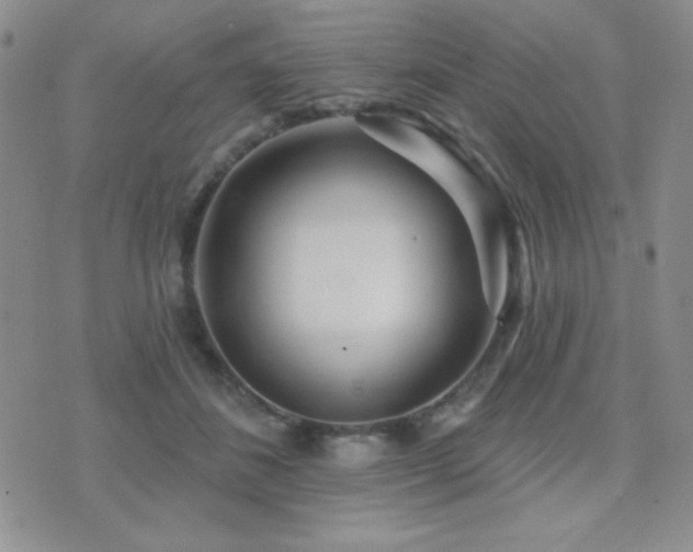 X0000071910508200607071135