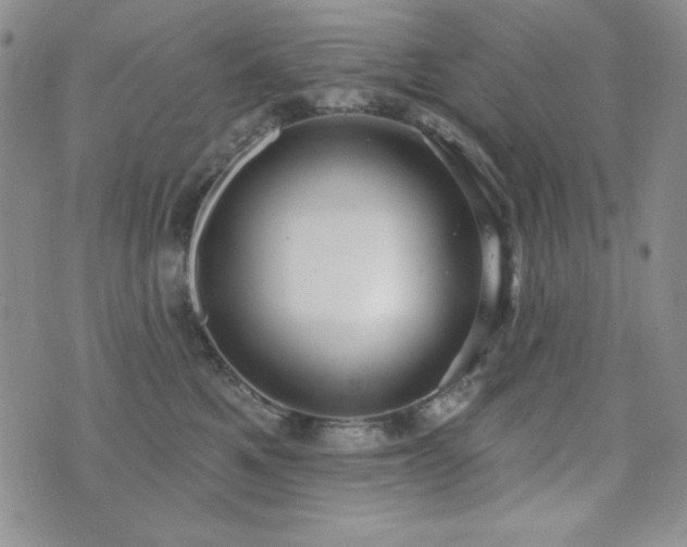 X0000071910521200607071135
