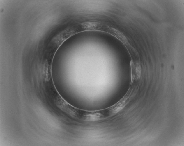 X0000071910525200607071135