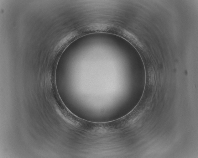 X0000071910538200607071134