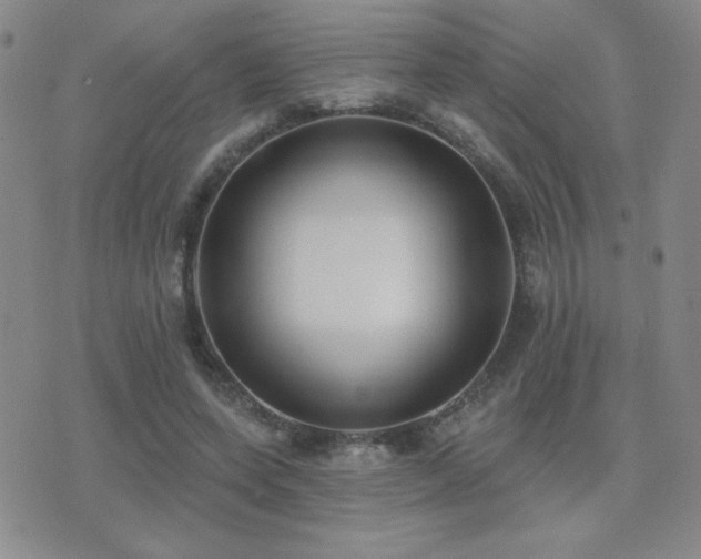 X0000071910543200607071134