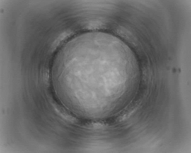 X0000071910592200607071134