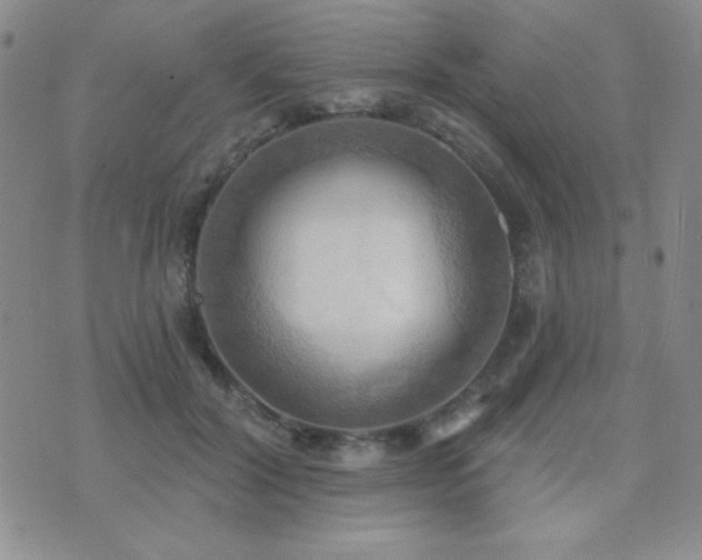 X0000071910604200607071134