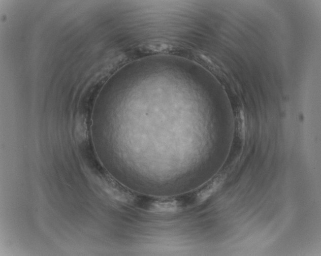 X0000071910606200607071134