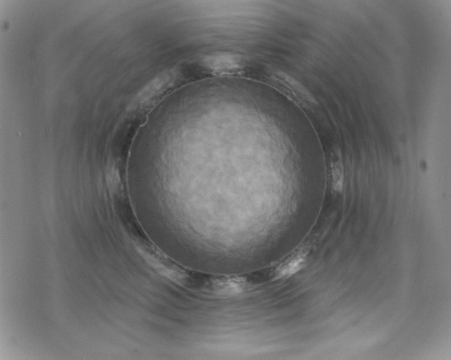 X0000071910618200607071134
