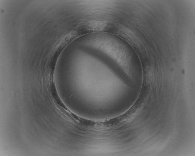 X0000071910641200607071133