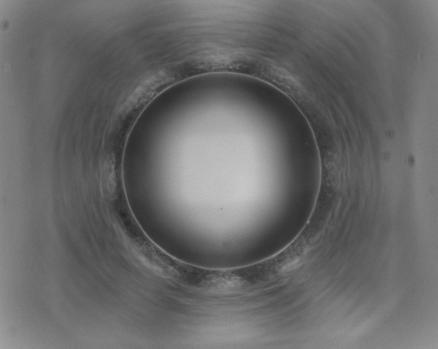 X0000071910642200607071133