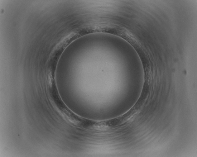 X0000071910644200607071133