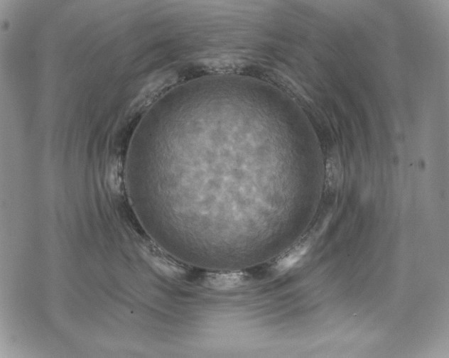X0000071910671200607071133