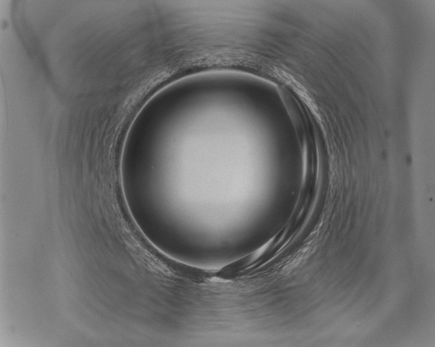 X0000071910673200607071133
