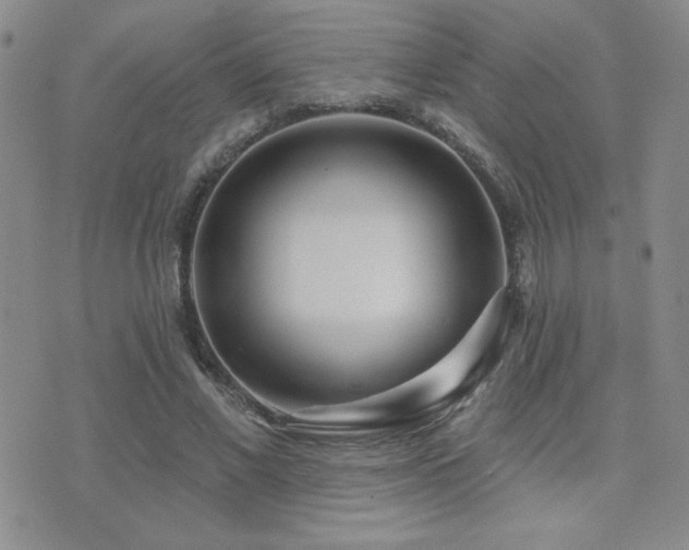 X0000071910685200607071132