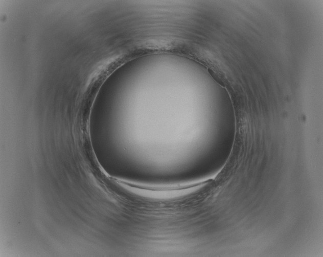 X0000071910688200607071132