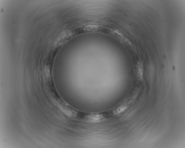 X0000071910711200607071132
