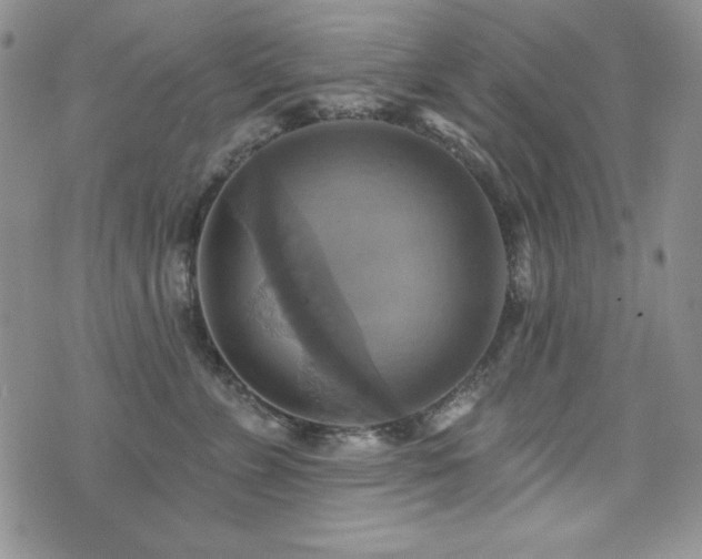 X0000071910715200607071132
