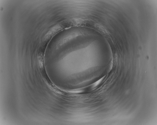 X0000071910719200607071132