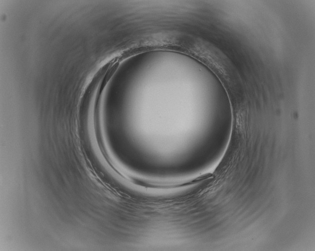 X0000071910724200607071131