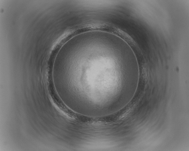 X0000071910730200607071131