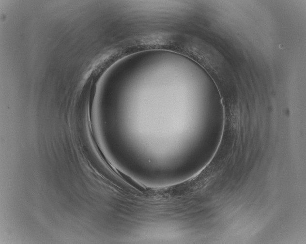X0000071910731200607071131
