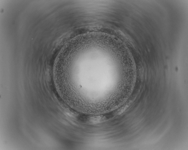 X0000071910757200607071132