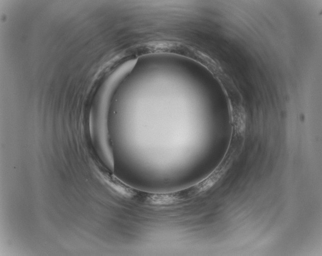 X0000071910766200607071132