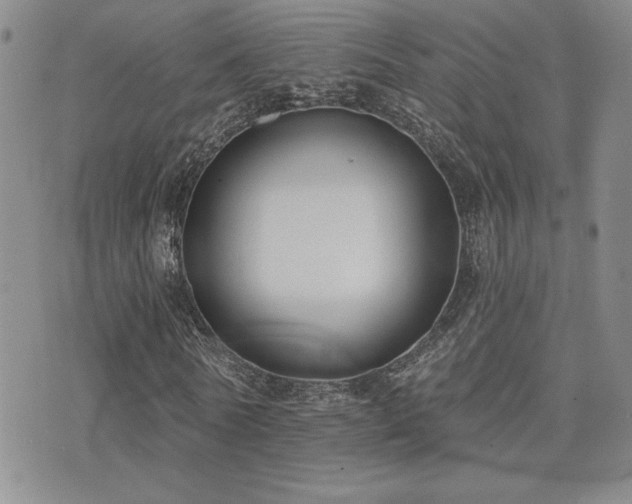 X0000071910770200607071131