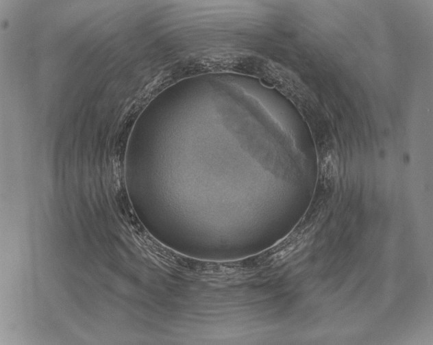 X0000071910772200607071131