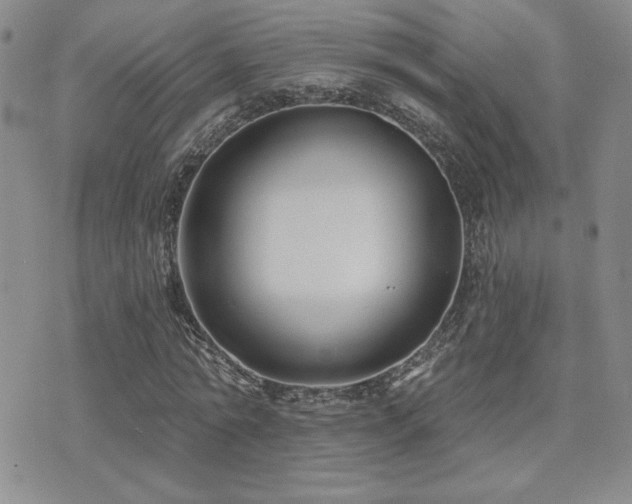 X0000071910774200607071131