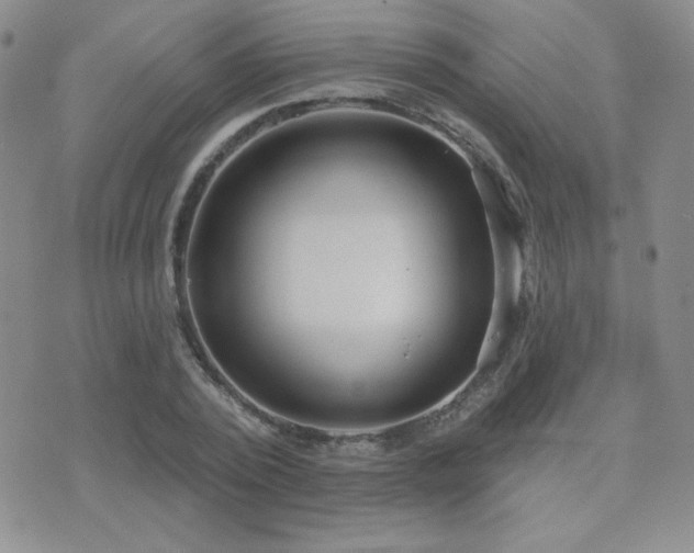 X0000071910784200607071131