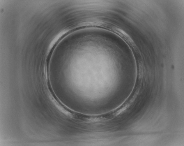 X0000071910796200607071131