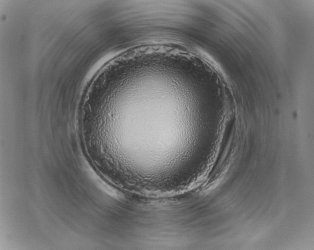 X0000071910803200607071130