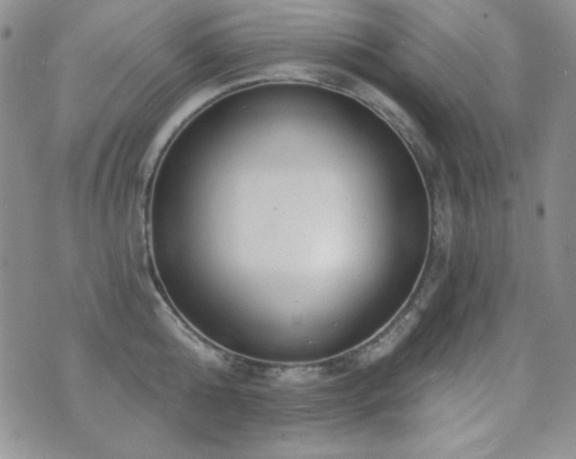 X0000071910808200607071130