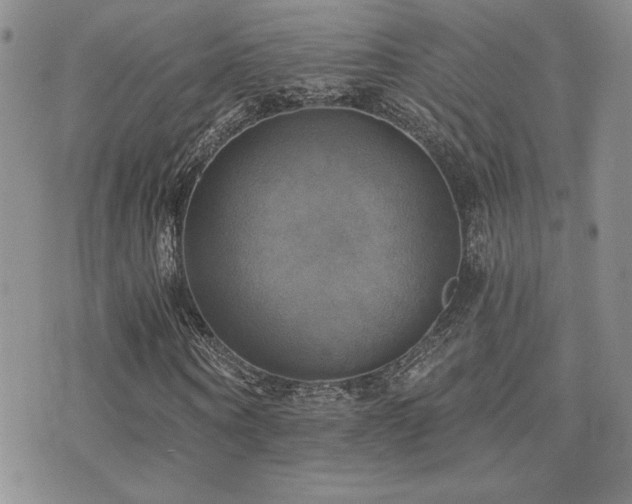 X0000071910866200607071129