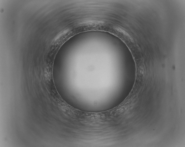 X0000071910869200607071129