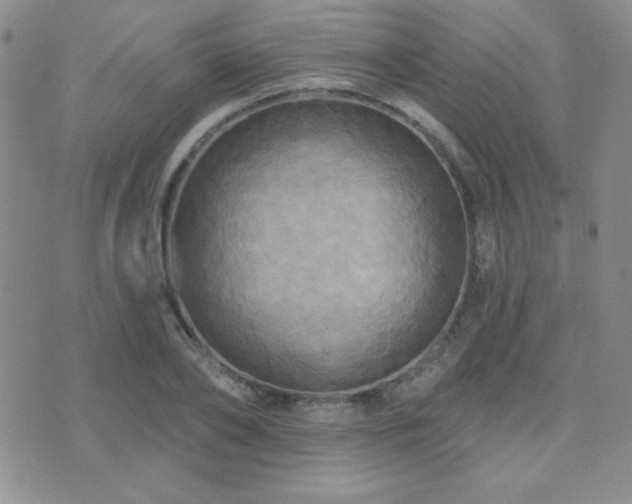 X0000071910886200607071129