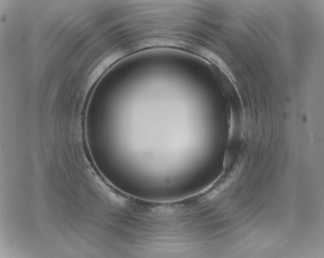 X0000071910898200607071129