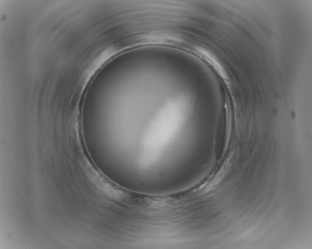 X0000071910899200607071129