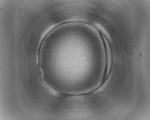 X0000071910900200607071129