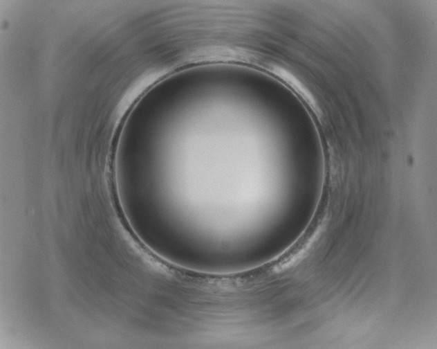 X0000071910901200607071129
