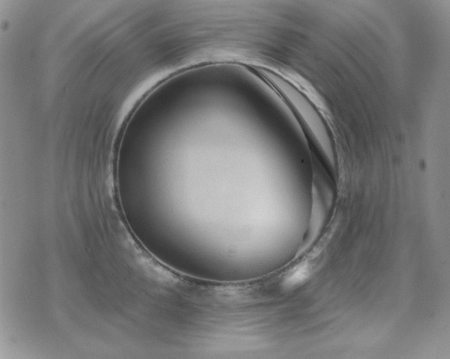 X0000071910904200607071129